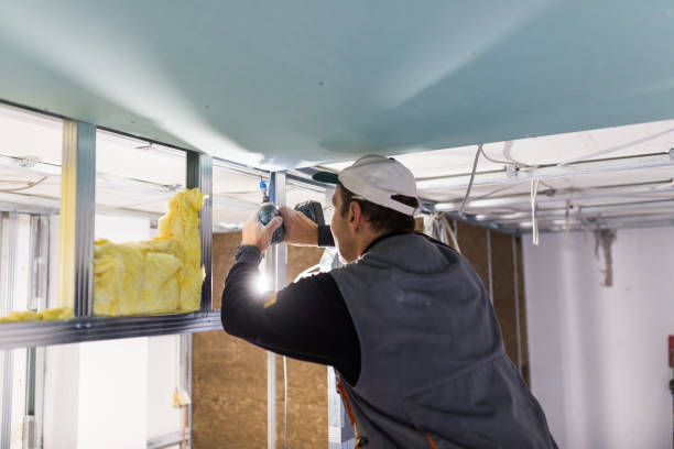 Best Residential Insulation in Riner, VA