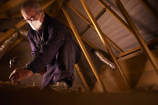 Best Cellulose Insulation in Riner, VA